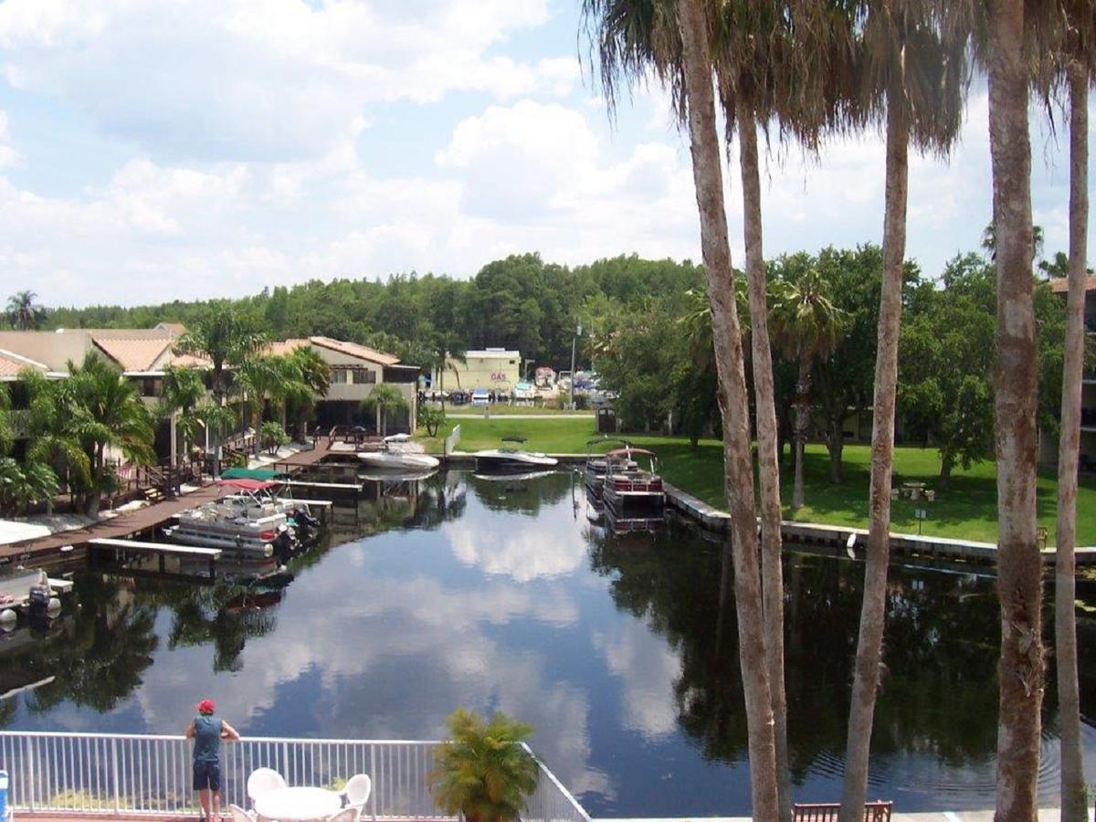 Vista Inn Lake Tarpon Palm Harbor Exteriör bild
