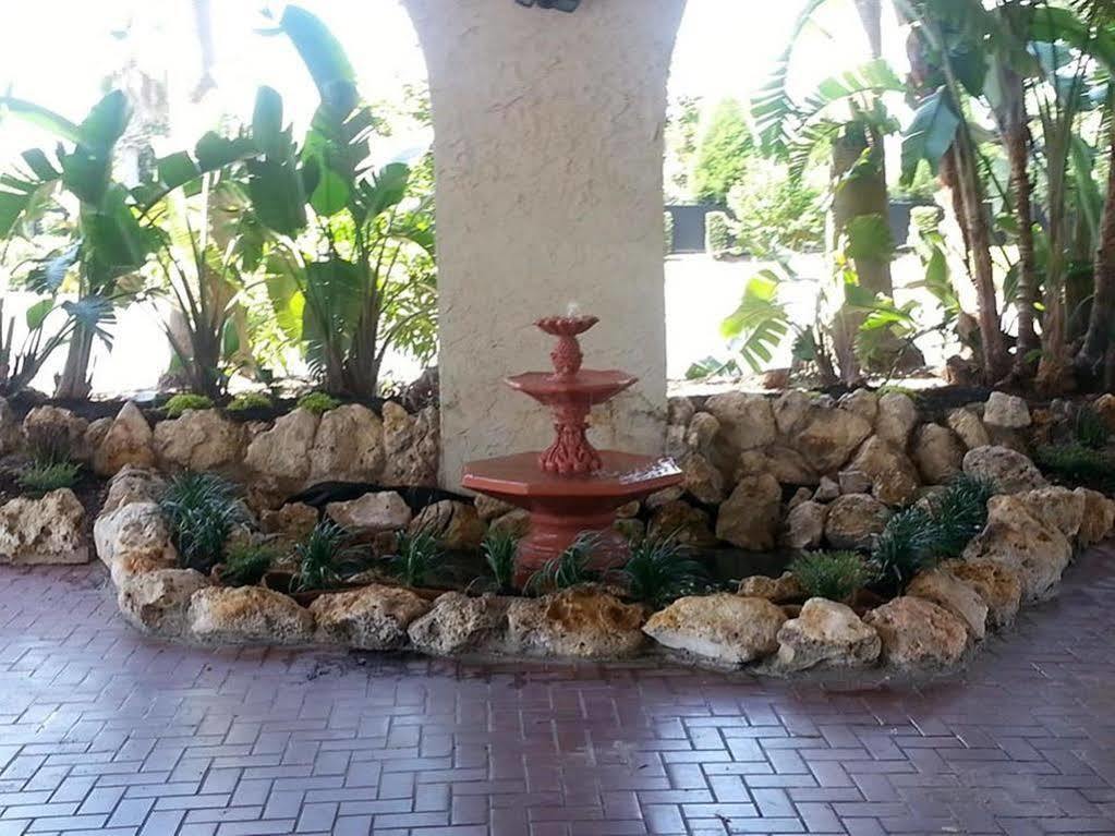 Vista Inn Lake Tarpon Palm Harbor Exteriör bild